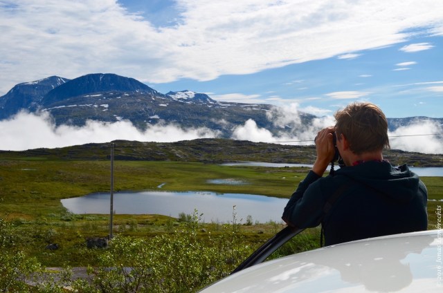 Birdwatching in a mountain marsh