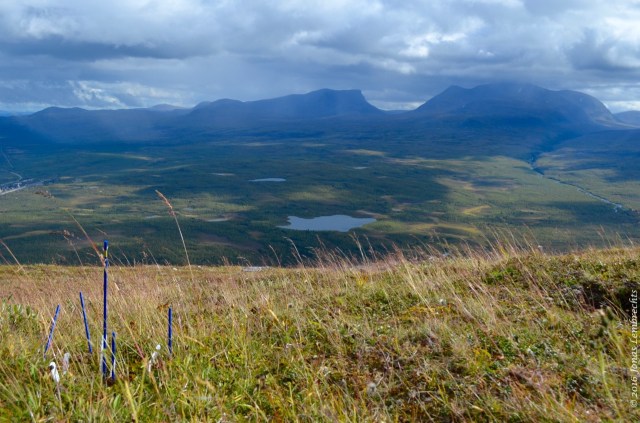 abisko-autumn-11