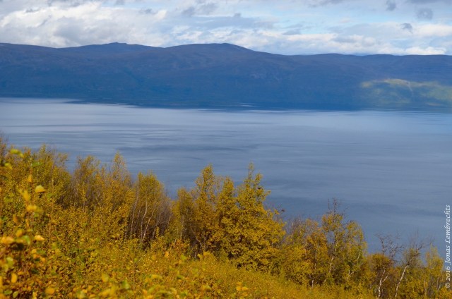 abisko-autumn-34