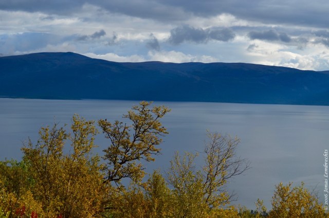abisko-autumn-4