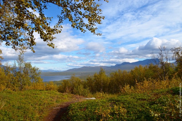 abisko-autumn-40