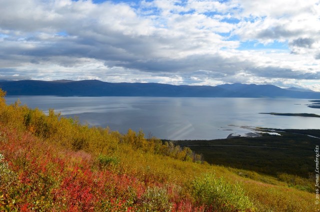 abisko-autumn-5