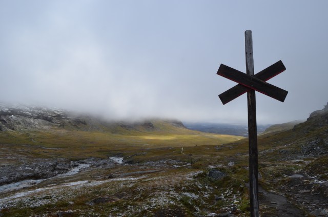 29129000514_4fa7baacc8_o