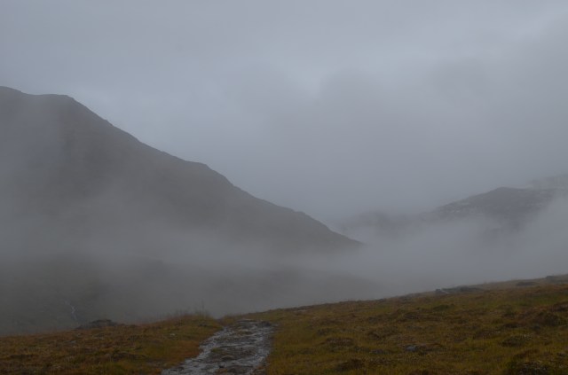 29129381554_9f72663ea2_o