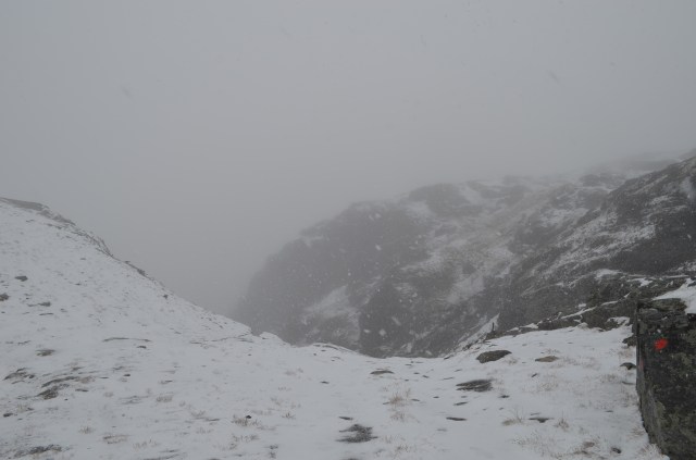 29674353261_42dba03ac9_o