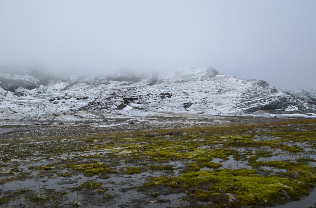 29720725176_50f62d5eb3_o