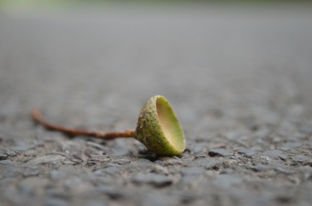 29877552201_b8deb98663_o