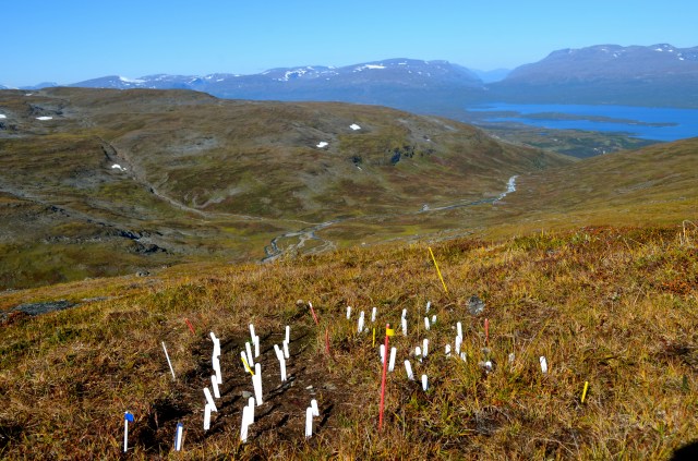 19774617119_d81529a6a0_o