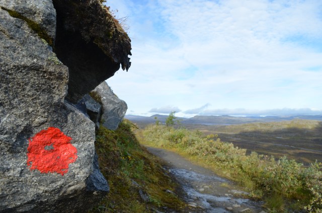 29120777843_6ebc01cd23_o