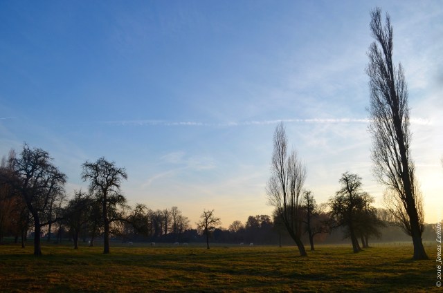 short-days-cold-nights-3