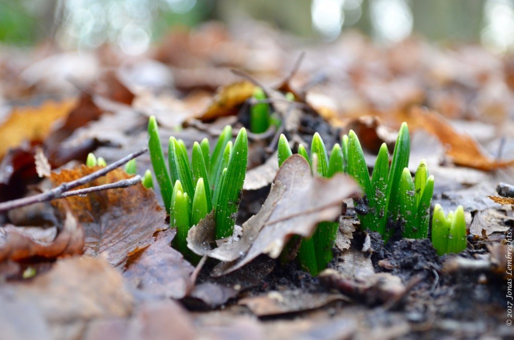 To spring or not to spring | The 3D lab