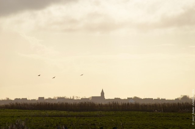 uitkerkse-polder-2