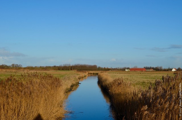 uitkerkse-polder-20