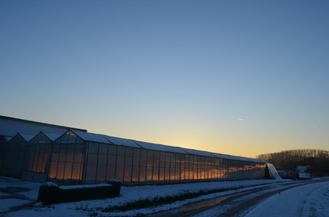 19552817353_29aeb4583d_o