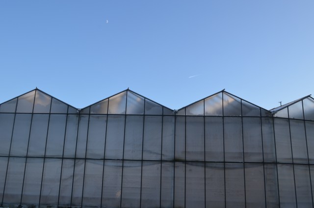 19985020888_537f316e0f_o