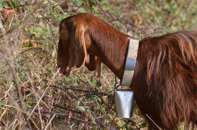 30079712083_3f14a412a0_o