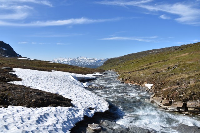 36010397981_aed598dc9c_o