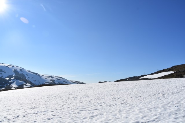 36153744885_688be1bce6_o