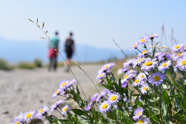 36234362192_92a04514c2_o