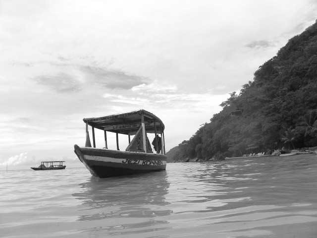 38367018256_0361402303_o