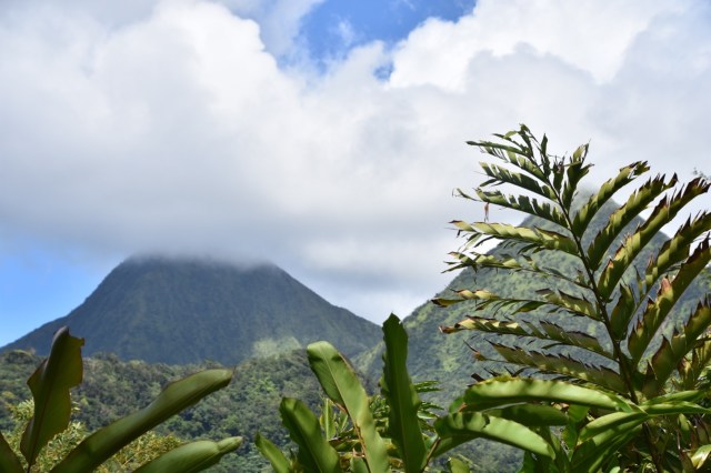 38421949721_0779b31568_o