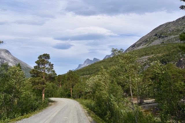 36755629035_d0304a992f_o