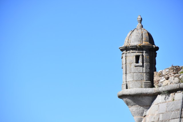 41065820551_5d4100c03a_o