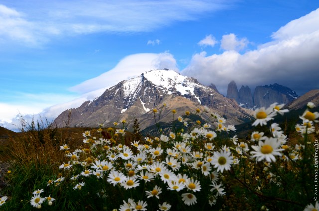 19180762491_49a4fd5b3f_o