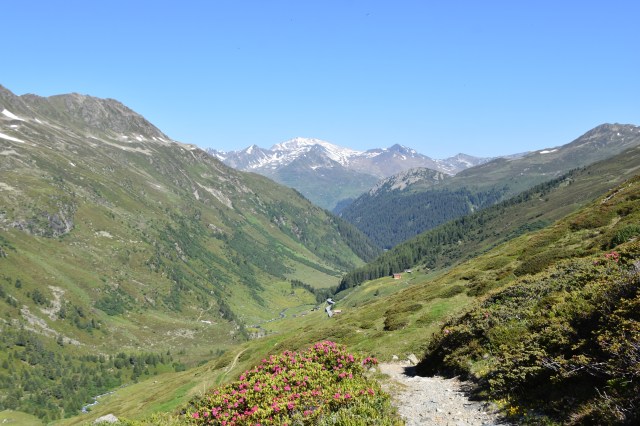 29060421788_5625f72df5_o