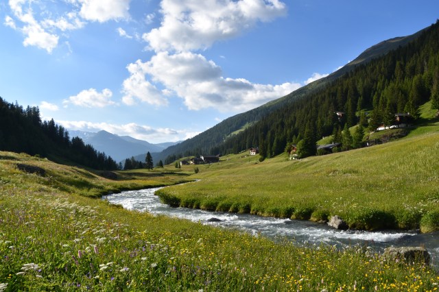 42207809564_e1fa715ccc_o