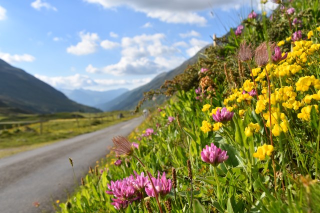 42877038262_ddf5e79449_o