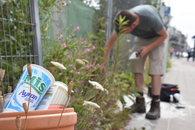 42423587545_841dcd076c_o