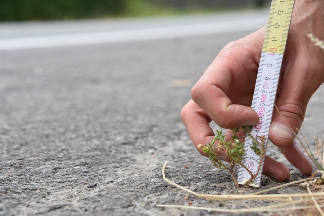 28538695927_f595dee7d2_o