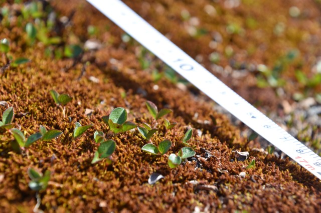 42021103870_bb34079373_o