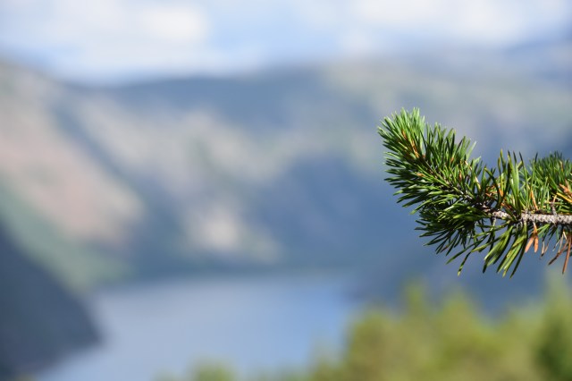 42023052570_5c0dd98a03_o