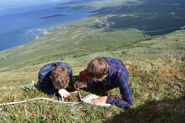 42927598095_3416623e41_o