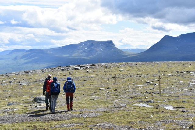 43783201872_fb544d4a8b_o