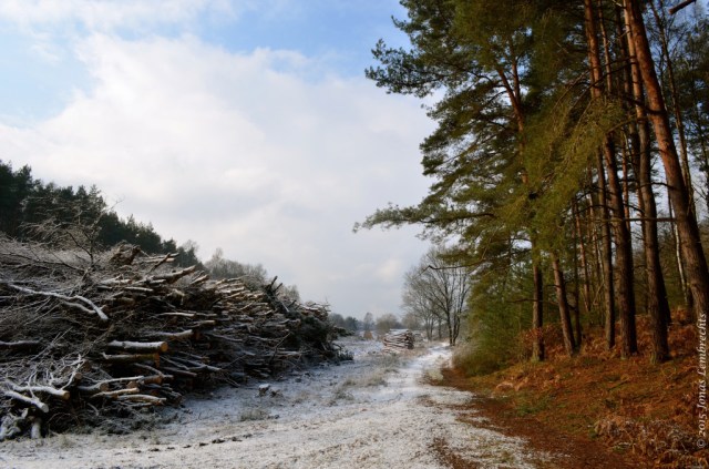 SoilTemp - soil temperature and climate