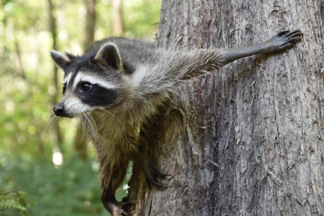 30100357078_d49f6f9745_o