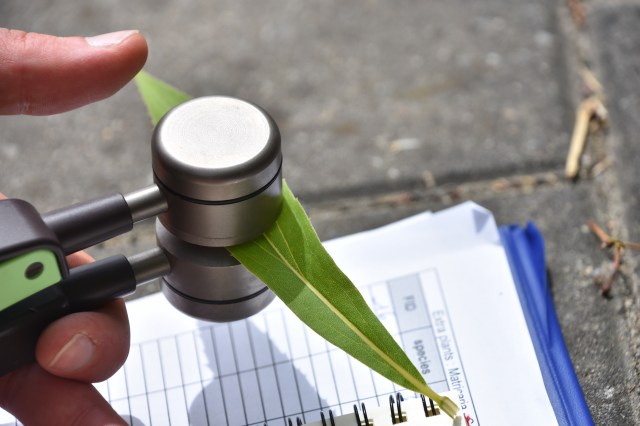 42609580734_8262dc6190_o