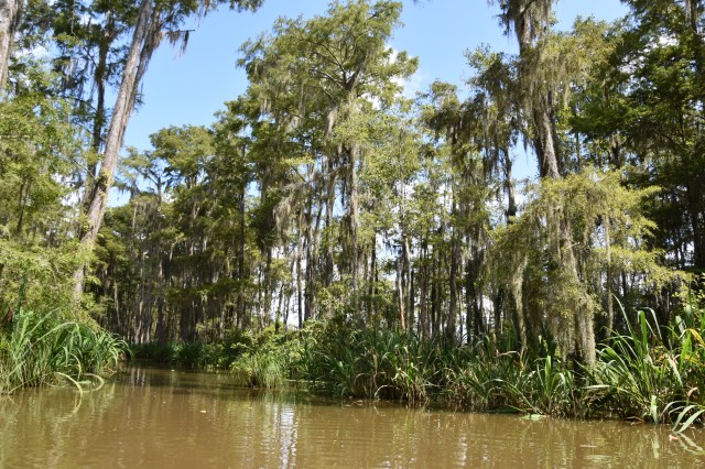 43920503122_268121cb5f_o