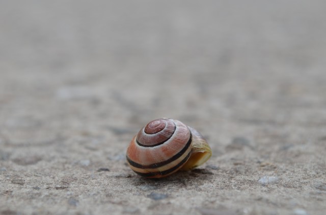 26998647151_2b32b3c5c8_o