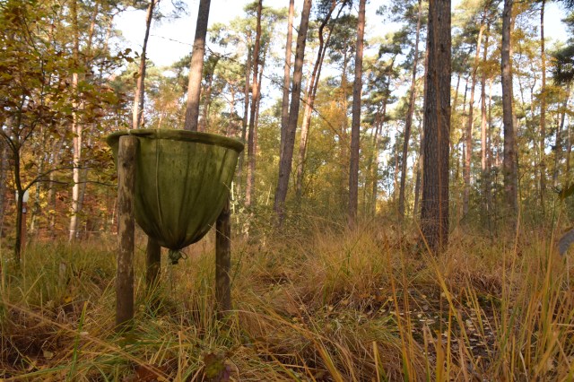 31936266678_f6052c9e7f_o