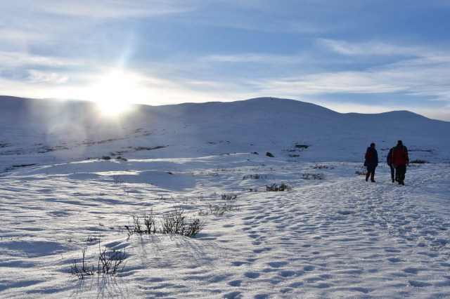 32025904948_dd7d04dab0_o