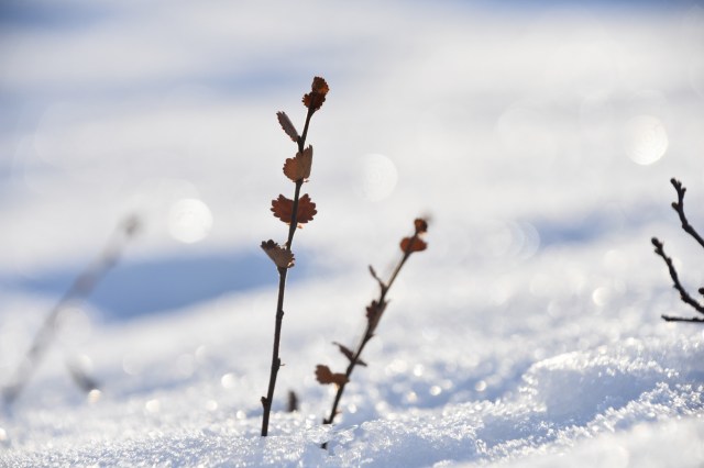 44983937025_35ed0f6587_o