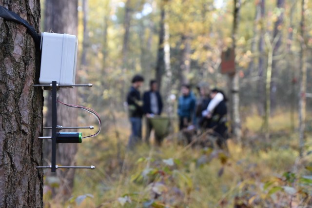 45082994284_9042bb946a_o