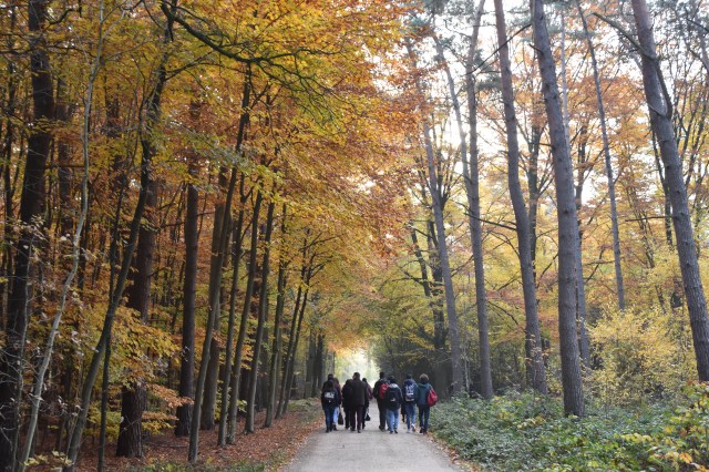 45757856962_cf3ef1ef31_o