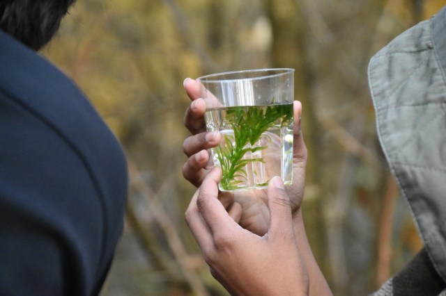 45757956112_4962db69e5_o