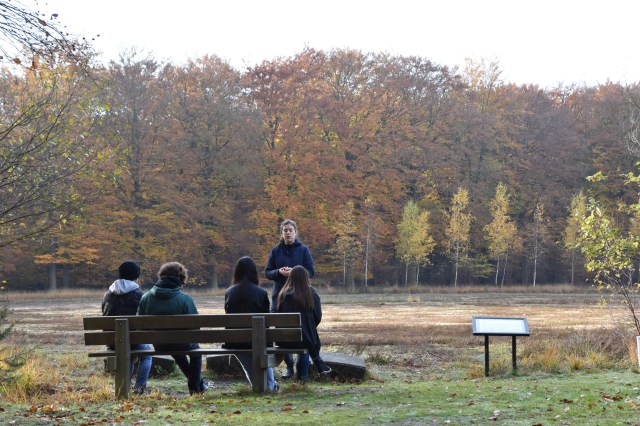 45807271471_8fb13063ec_o