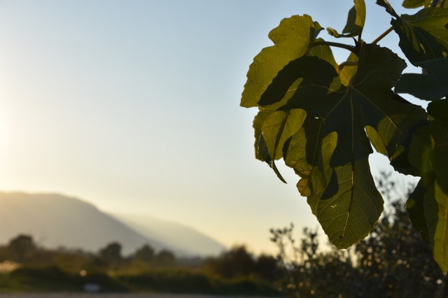 46815960831_34ccf5df72_o (1)